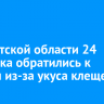 В Иркутской области 24 человека обратились к врачам из-за укуса клещей