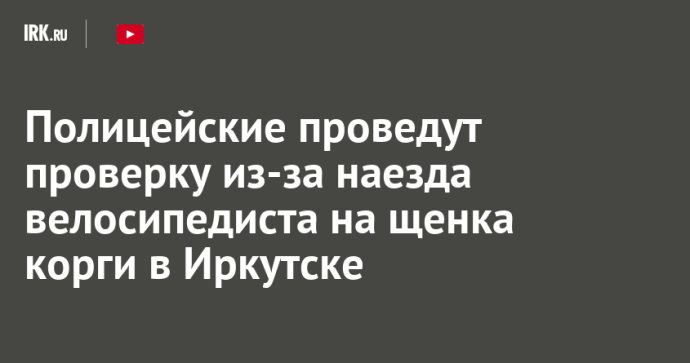 Полицейские проведут проверку из-за наезда велосипедиста на щенка корги в Иркутске