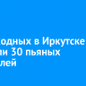 На выходных в Иркутске выявили 30 пьяных водителей