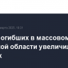 Число погибших в массовом ДТП в Рязанской области увеличилось до четырех