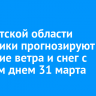 В Иркутской области синоптики прогнозируют усиление ветра и снег с дождем днем 31 марта