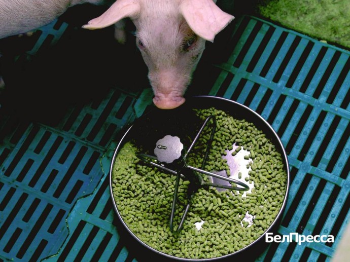 В Белгородской области открыли центр диагностики и производство кормовых добавок для АПК