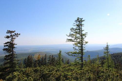 Амурских школьников и студентов приглашают на «Зеленый зачет»