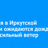 21 июля в Иркутской области ожидаются дожди, град и сильный ветер