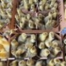 «Фестиваль станет значимым событием»: Николай Патрушев поддержал проведение «Открытого моря»
