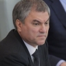 Володин назвал российское законодательство об иноагентах либеральным...