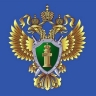 Сахалинская прокуратура организовала проверку по факту ЧП в школе областного центра