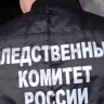Глава Следственного комитета взялся за дело о нападении собаки на женщину с детьми в Приморье