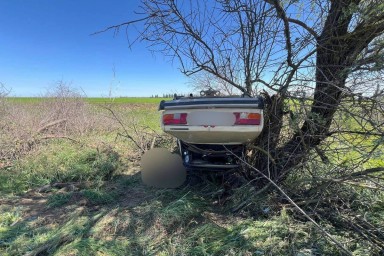 В Красноперекопском районе водитель легковушки погиб, врезавшись в дерево