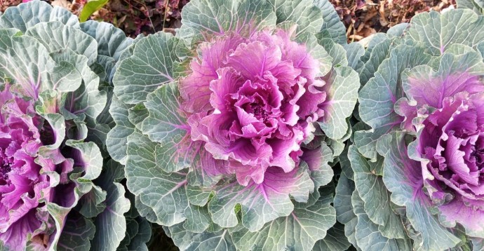 В Башкирии пообещали аномальную погоду на конец октября, ноябрь и декабрь В Башкирии пообещали аномальную погоду на конец октября, ноябрь и декабрь