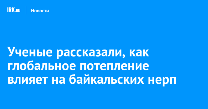 Ученые рассказали, как глобальное потепление влияет на байкальских нерп