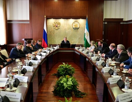 Глава Башкирии встретился с представителями национальных диаспор