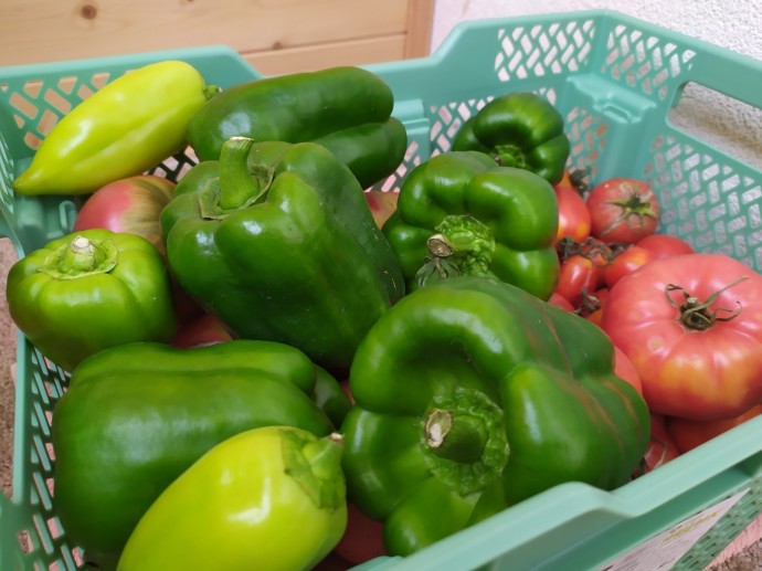 В Башкирии хорошая погода поможет уборке урожая