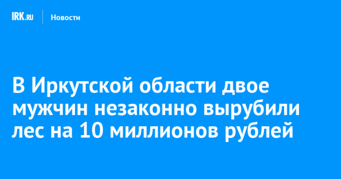 В Иркутской области двое мужчин незаконно вырубили лес на 10 миллионов рублей