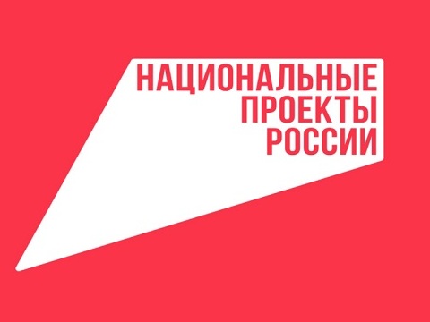 Благодаря нацпроекту жители Мордовии получают социально значимые услуги в электронном виде