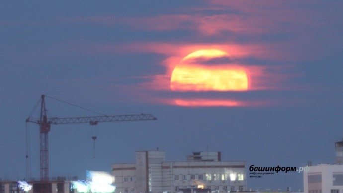 Жители Башкирии смогут наблюдать самый яркий звездопад года