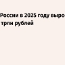 Госдолг России в 2025 году вырос на 21% – до 35,1 трлн рублей