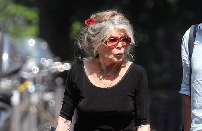 Var-Matin: Брижит Бардо снова попала в больницу Тулона