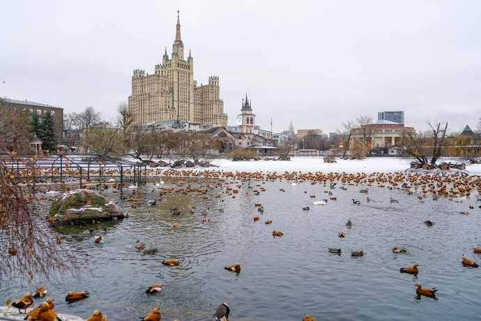 Участники зимней акции Московского зоопарка смогут получить билет на летний сезон Участники зимней акции Московского зоопарка смогут получить билет на летний сезон