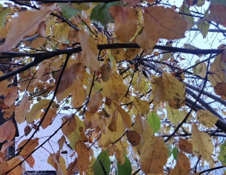 В Башкирию надвигается похолодание