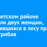 В Тайшетском районе отыскали двух женщин, заблудившихся в лесу при сборе грибов