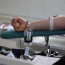 Амурчан приглашают поучаствовать в донорском марафоне