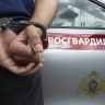 В Новомосковске росгвардейцы задержали подозреваемого в краже смартфона