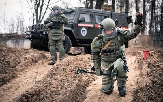 В Курской области обезврежено более 642 тысяч взрывоопасных предметов