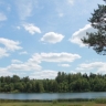 Иностранцы приезжают в Новгородскую область, чтобы отдохнуть на природе...