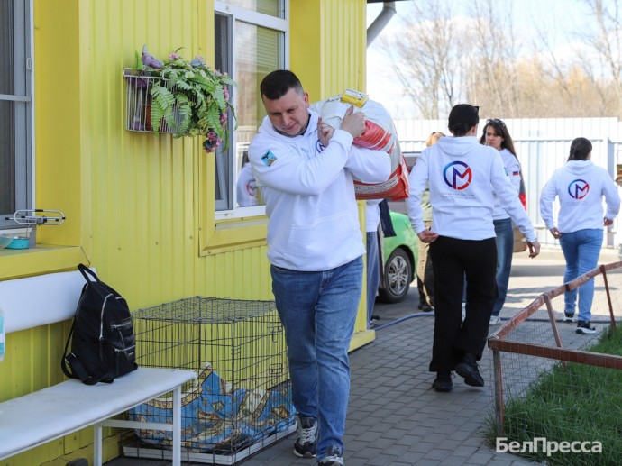 Волонтёры передали корм и лекарства в белгородский приют для животных