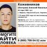 «Лиза Алерт» объявила очередной поиск пропавшего в Медянах мужчины