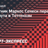 Романо: защитник «Борнмута» Сенеси подписал контракт с «Тоттенхэмом»