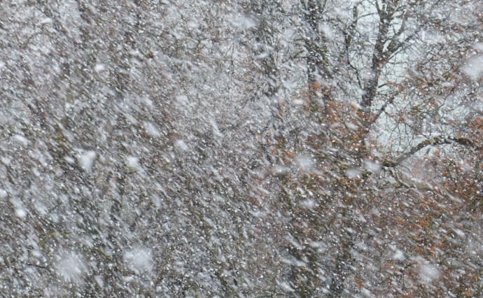 Снег и дожди придут в районы Сахалинской области 10 ноября Снег и дожди придут в районы Сахалинской области 10 ноября