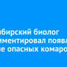 Новосибирский биолог прокомментировал появление в стране опасных комаров
