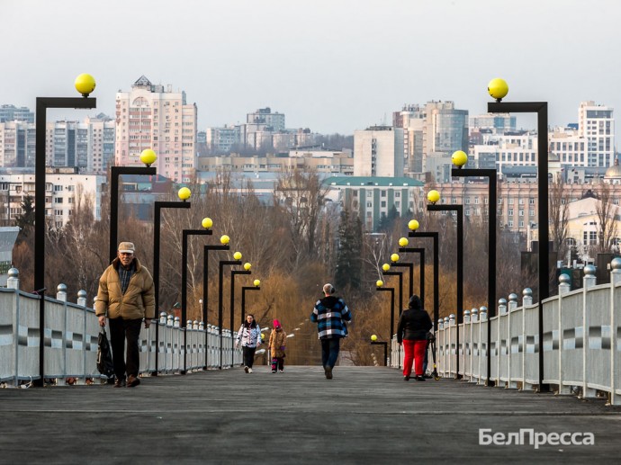 В Белгородской области за пять лет число наркоманов сократилось на 20 %