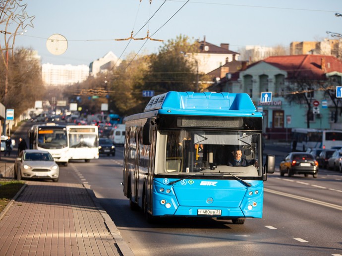 Новые остановочные павильоны на улицах Белгорода установят до 10 декабря 2025 года