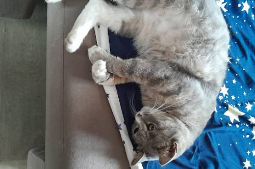 Стрельцам придется пойти на компромисс, Девам предстоит исправить ошибку Стрельцам придется пойти на компромисс, Девам предстоит исправить ошибку