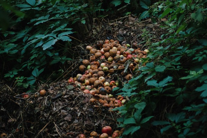 Россельхознадзор нашёл 17 несанкционированных свалок в Пензенской области Россельхознадзор нашёл 17 несанкционированных свалок в Пензенской области