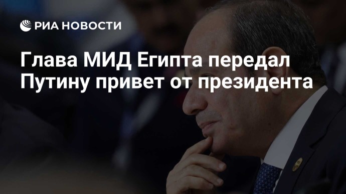 Глава МИД Египта передал Путину привет от президента