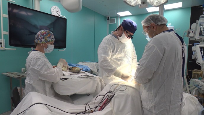 В НИИ скорой помощи имени Джанелидзе провели первую транспортировку донорских органов вертолётом