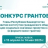 Объявлен конкурс грантов Главы Башкирии для социально ориентированных НКО