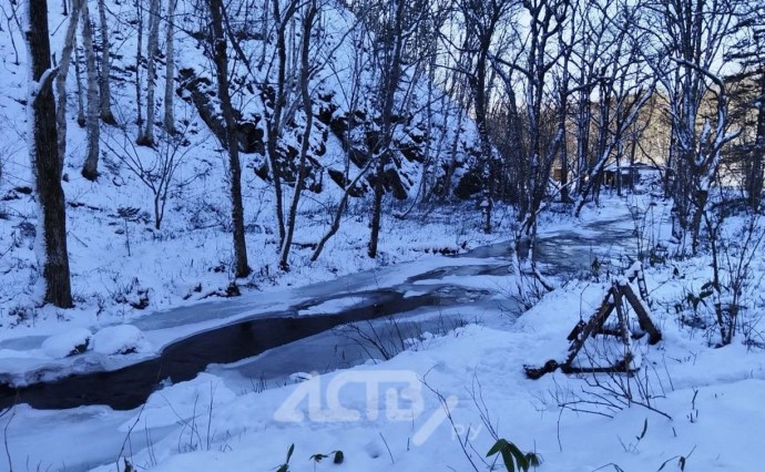 Немного снежно и до +7°C: прогноз для Сахалинской области на 7 декабря Немного снежно и до +7°C: прогноз для Сахалинской области на 7 декабря