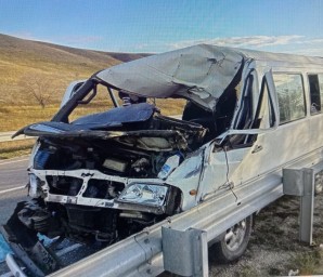 Шесть человек пострадали в ДТП с лошадью в Забайкалье