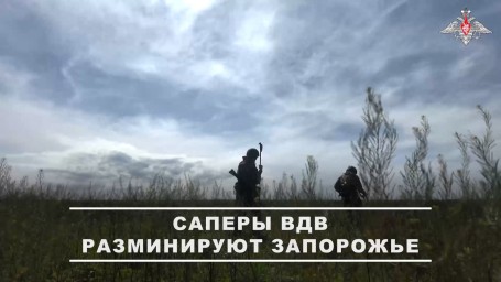 Саперы разминируют территории в Запорожской области