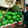 На Южном Урале начался арбузный бум