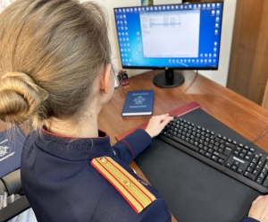 Главе ведомства доложат о ходе расследования противоправных действий в отношении несовершеннолетней в Приморском крае