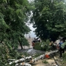 Румыния пригласила российского посла для обсуждения инцидентов с дронами в воздушном пространстве страны