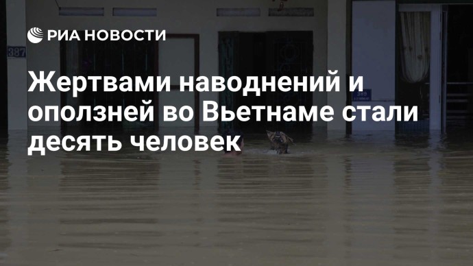 Жертвами наводнений и оползней во Вьетнаме стали десять человек
