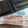 Россиянам для счастья ежемесячно нужно 273 тыс. рублей