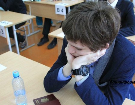 Госдума одобрила инициативу бесплатного профобучения школьников